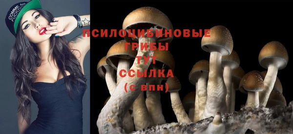 mdma Дмитриев