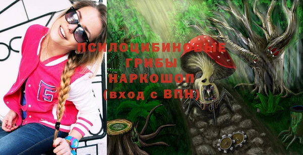 круглые Гусь-Хрустальный