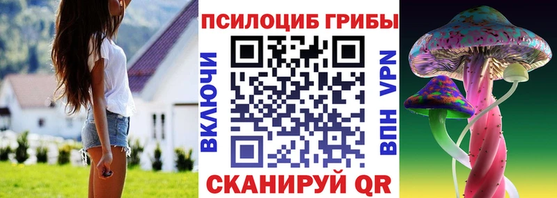 купить цена Джанкой Псилоцибиновые грибы GOLDEN TEACHER